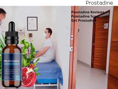 Prostadine The Prostate